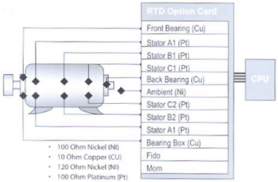 RTD Input Option for Precise Thermal Management