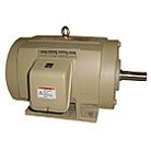 Energy $aver® NEMA Premium Efficiency – ODP AC Motors