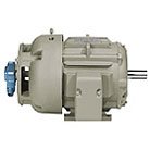 ASD Inverter Duty AC Motors