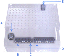 Flexible Inputs & Outputs Put You in Control!